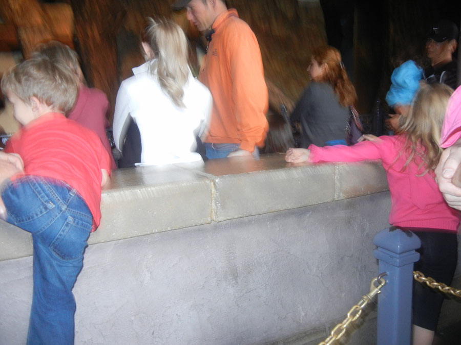 Disneyland Snow White's Scary Adventure Picture